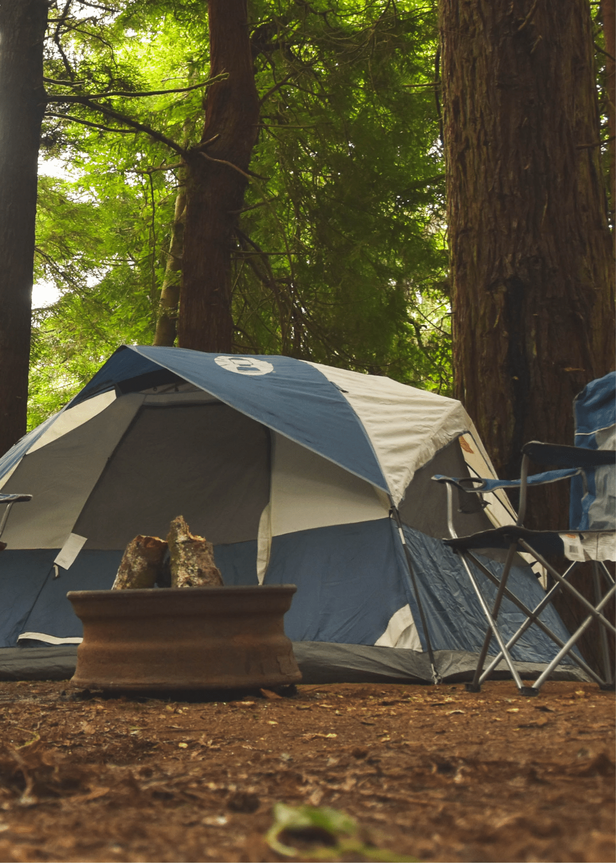 Check Out The Best Large Family Tents For This Fall