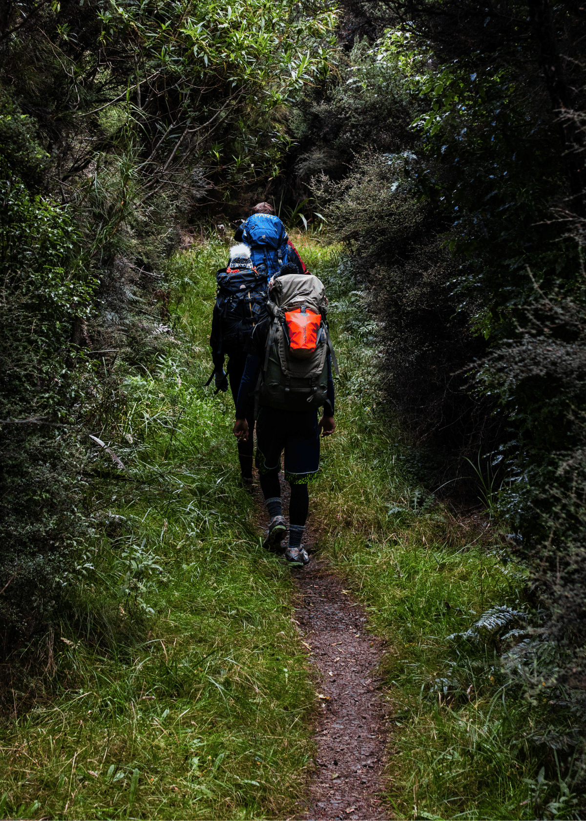 Best Camping Backpacks For Hiking and Adventures!