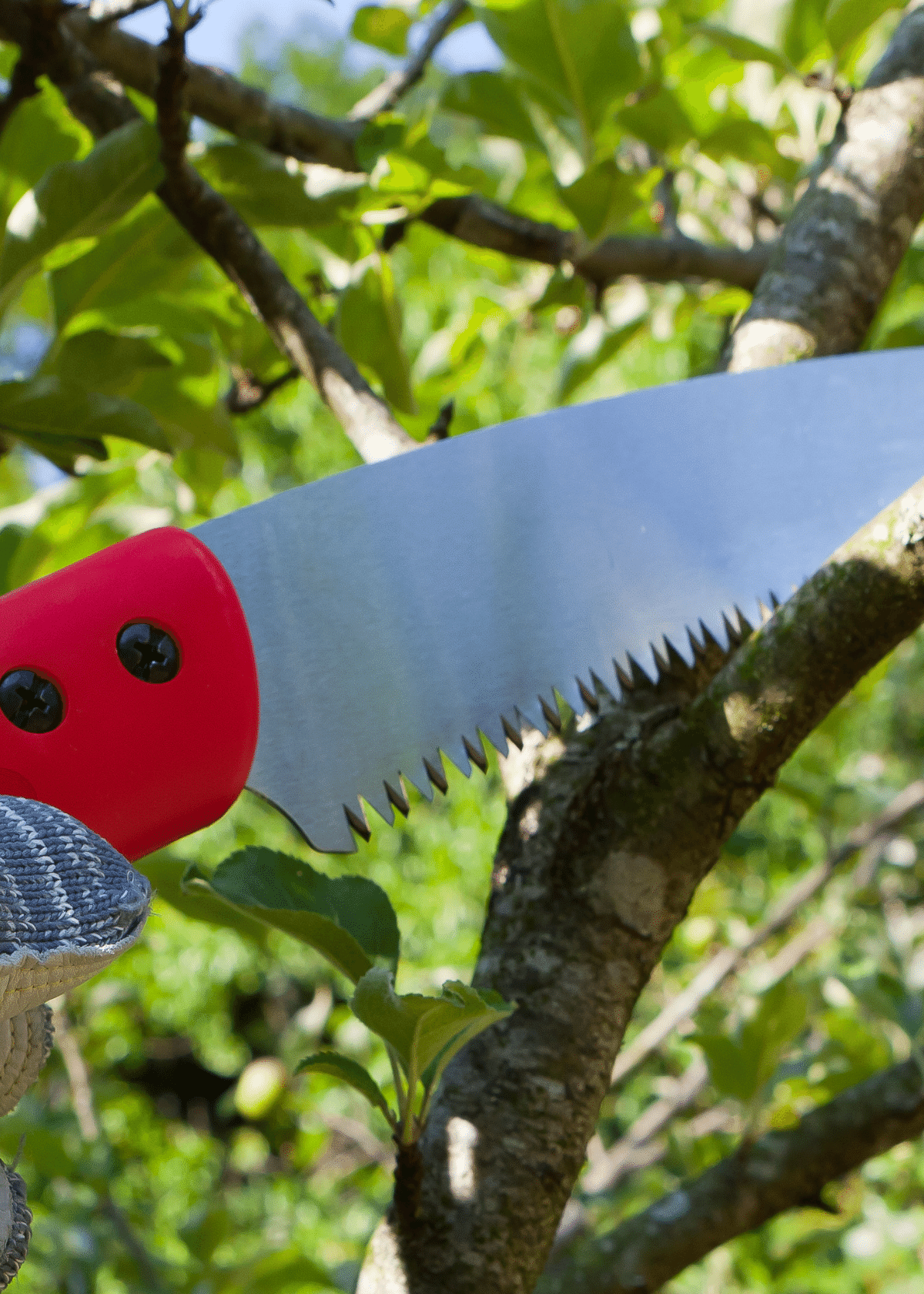 Top Quality Best Camping Saws